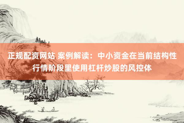 正规配资网站 案例解读：中小资金在当前结构性行情阶段里使用杠杆炒股的风控体